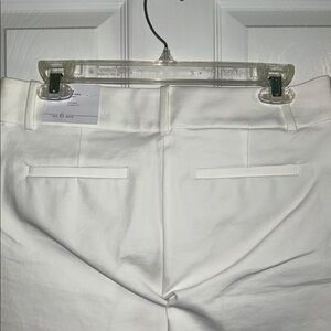 NWT Loft Rivera Pant. Size 6P